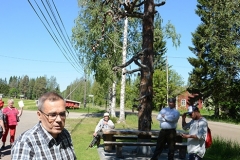 Luonnonkukkienpäivä 