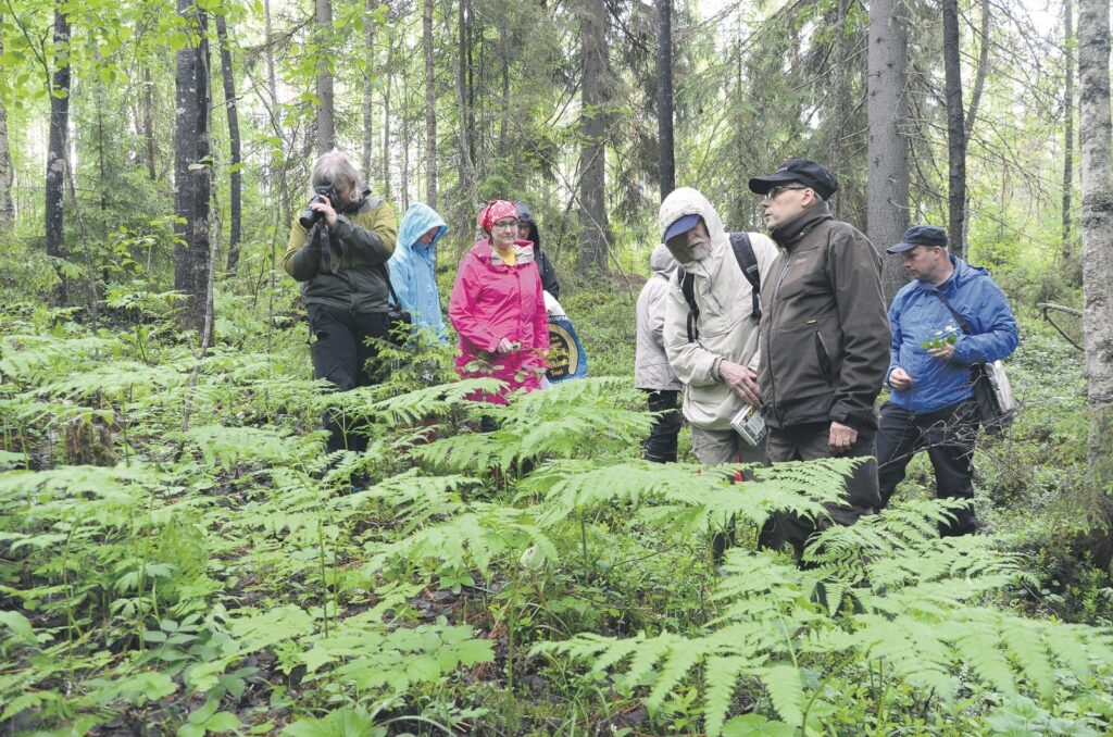 Luonnonkukkienpäivä