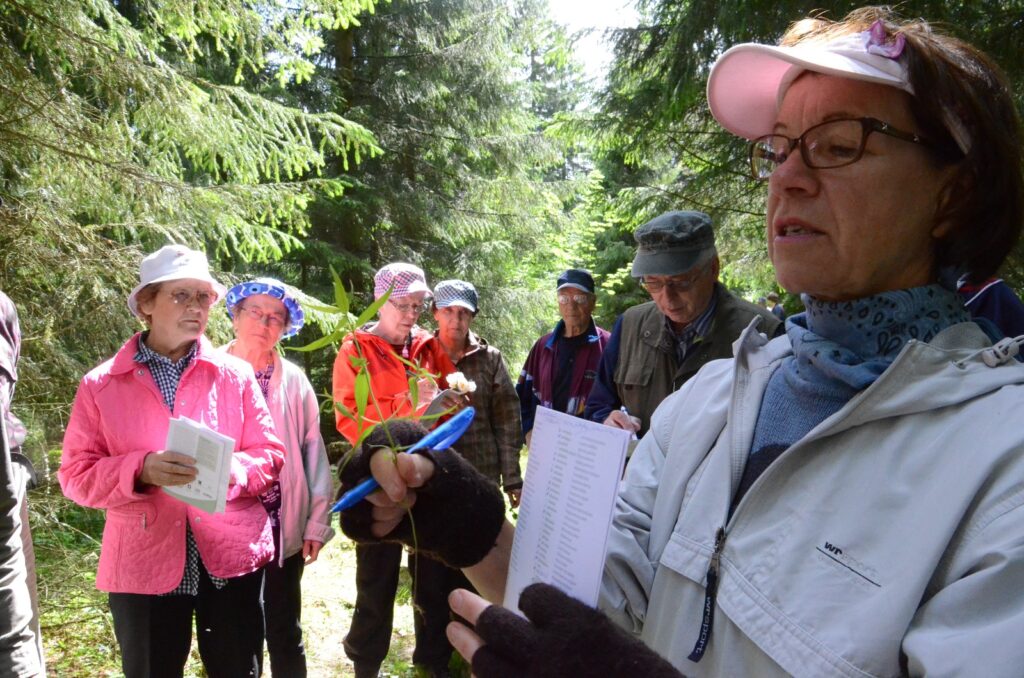 luonnonkukkienpaivanretki2013_3
